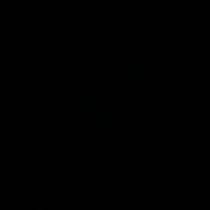 Meet your Posher, Luis